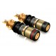 Conectores para caja de altavoces Viablue T6s