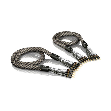 Cable de altavoces Viablue SC6 Biamplificado